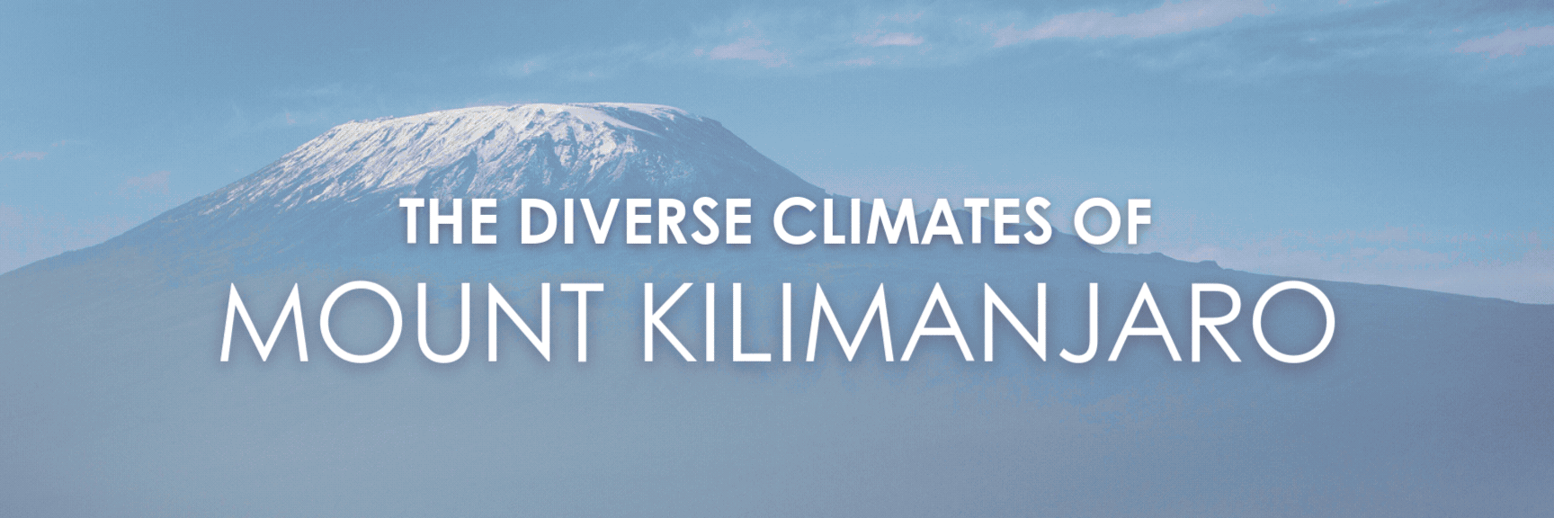 Climb Kilimanjaro Extension image 25