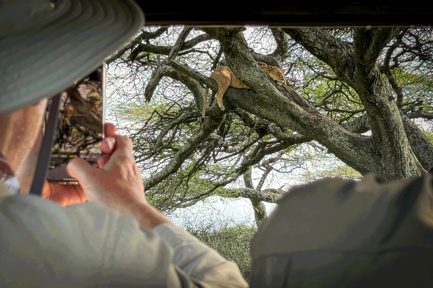 BSS Africa Feb Itinerary image 29