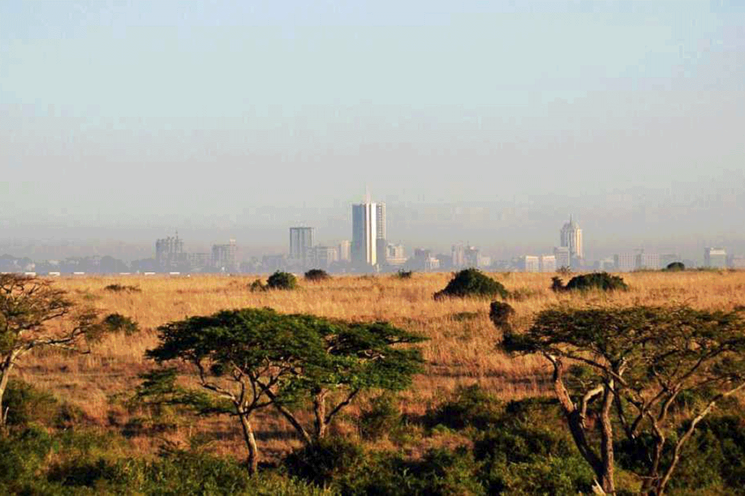Africa February Itinerary image 5