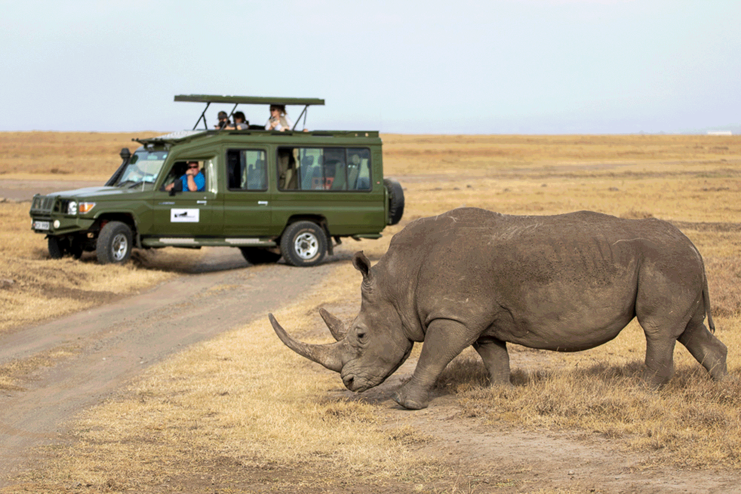 Africa February Itinerary image 7