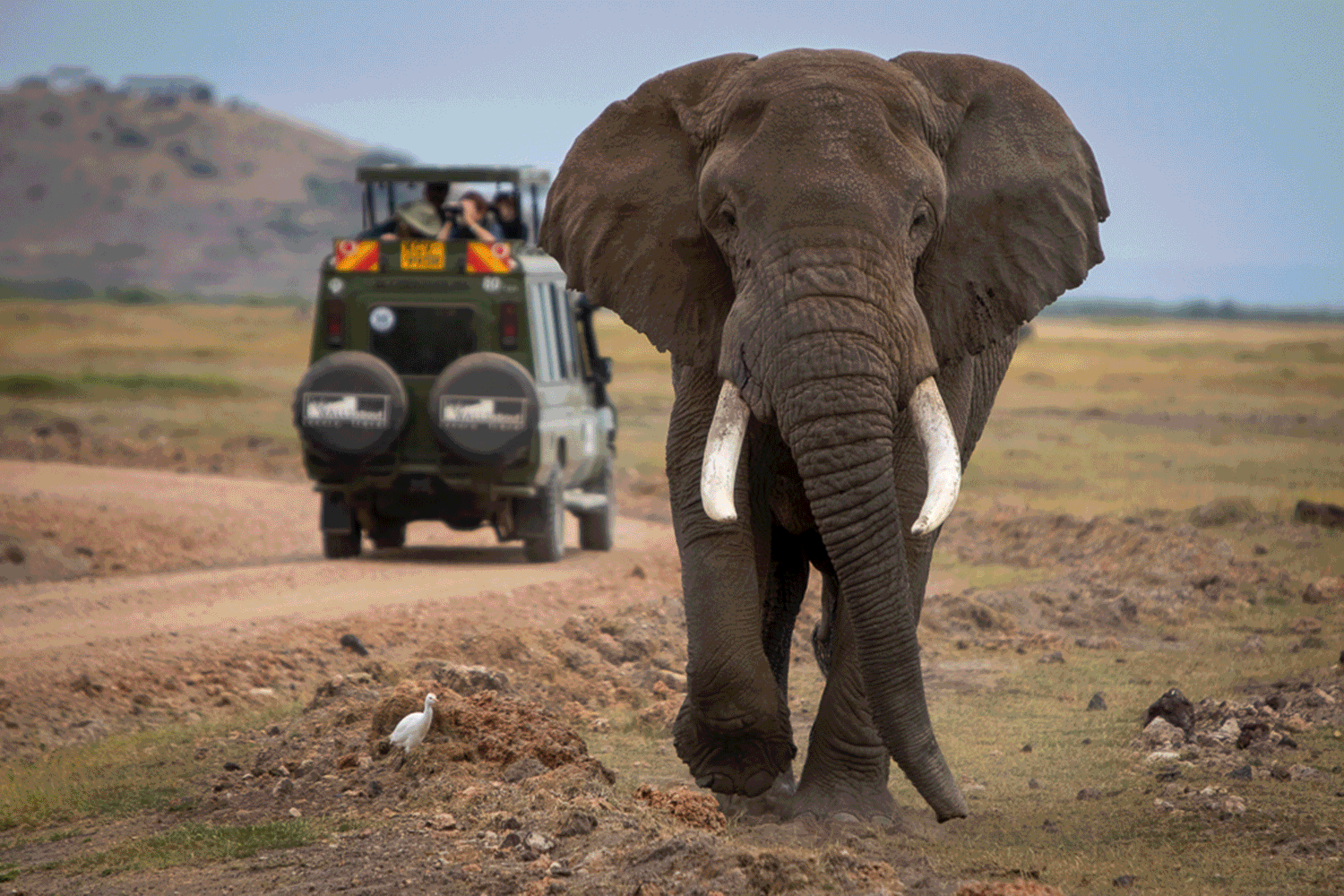 Africa February Itinerary image 13