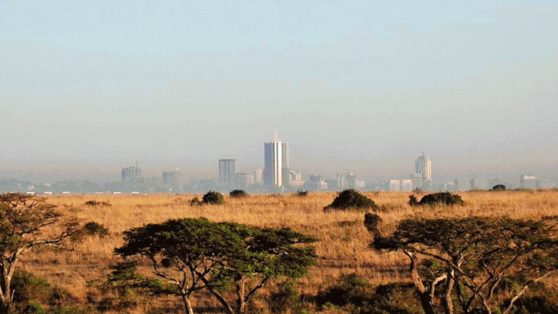BSS Africa Feb Itinerary image 5