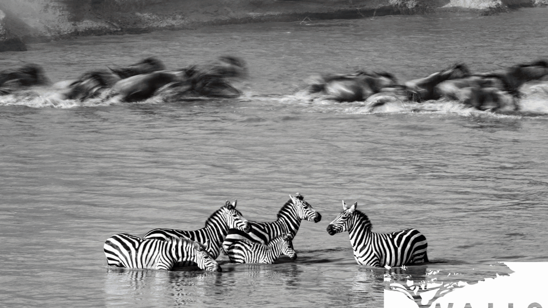 BSS Africa July Itinerary image 31