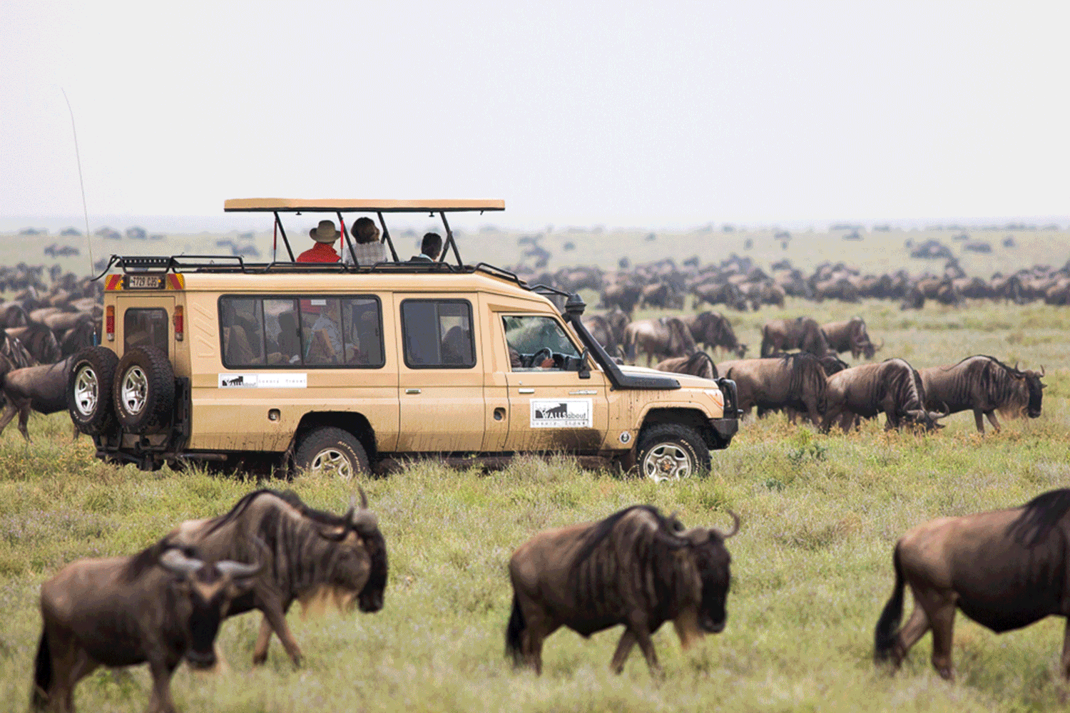BSS Africa Feb Itinerary image 31