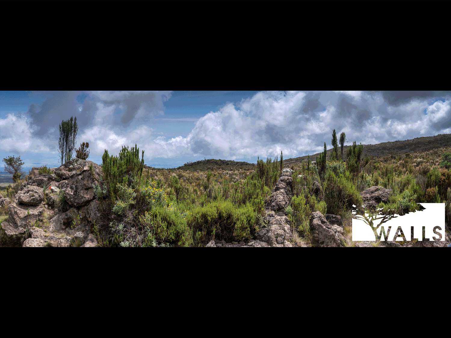 Climb Kilimanjaro Extension image 11