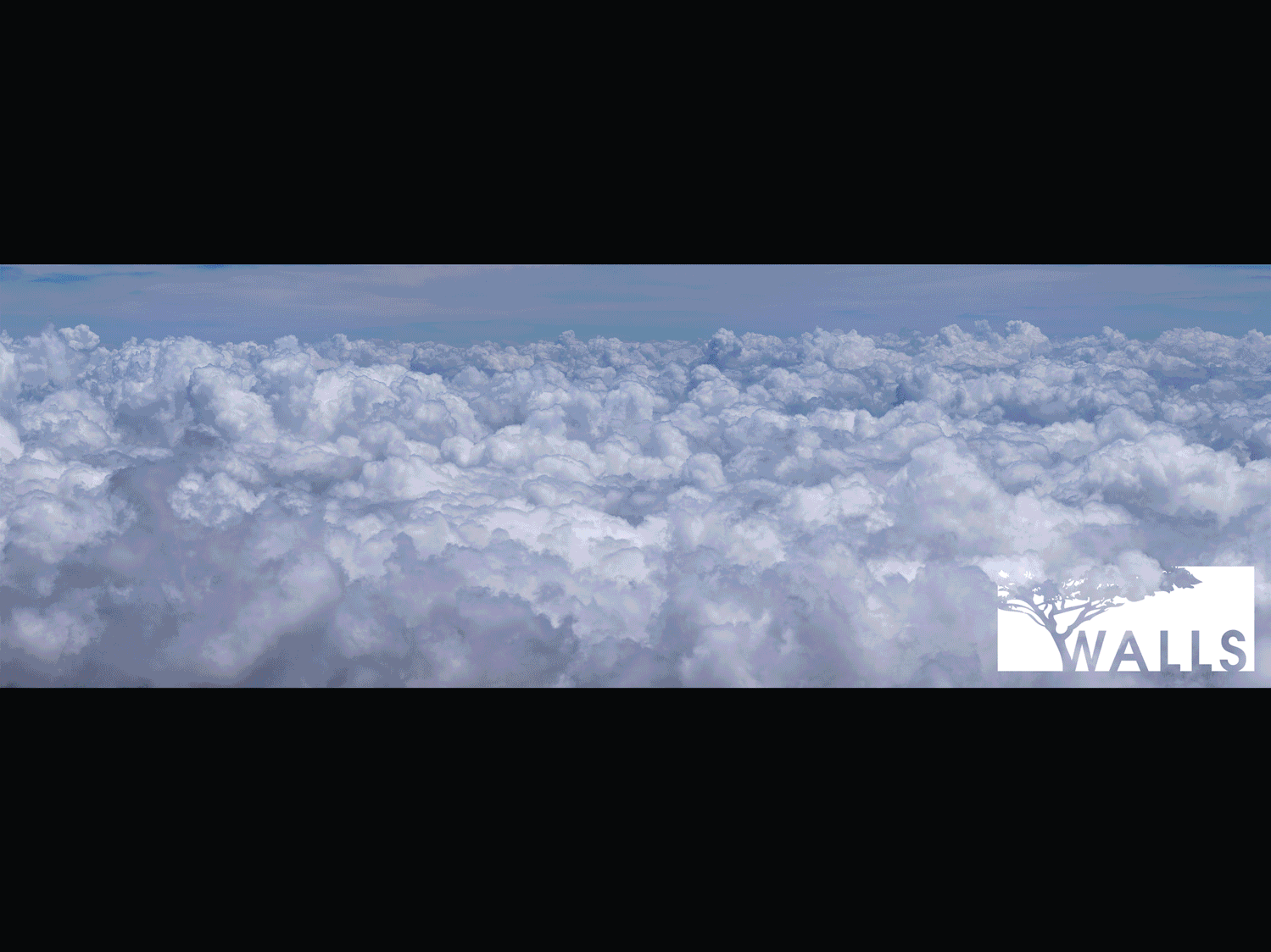 Climb Kilimanjaro Extension image 21