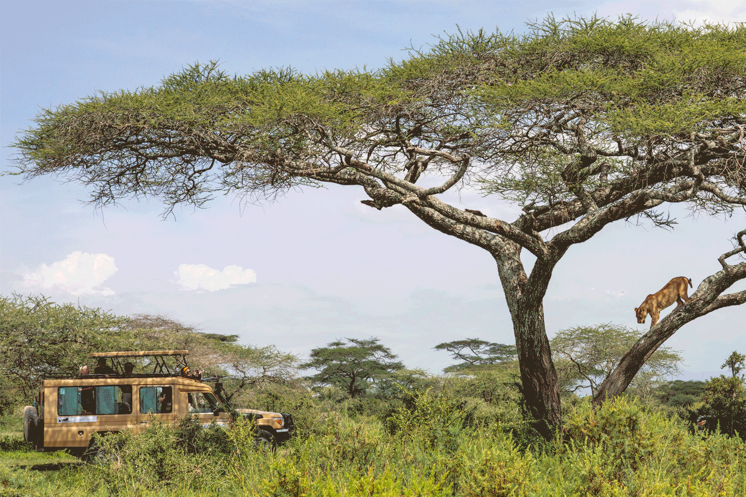 BSS Africa Feb Itinerary image 23