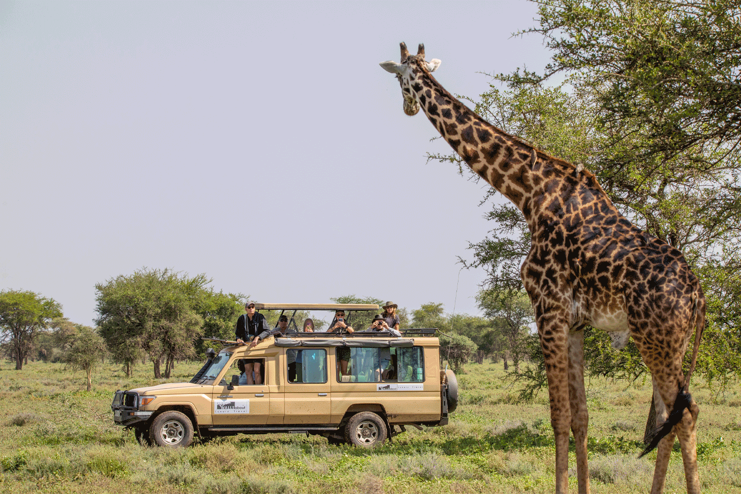 BSS Africa Feb Itinerary image 19