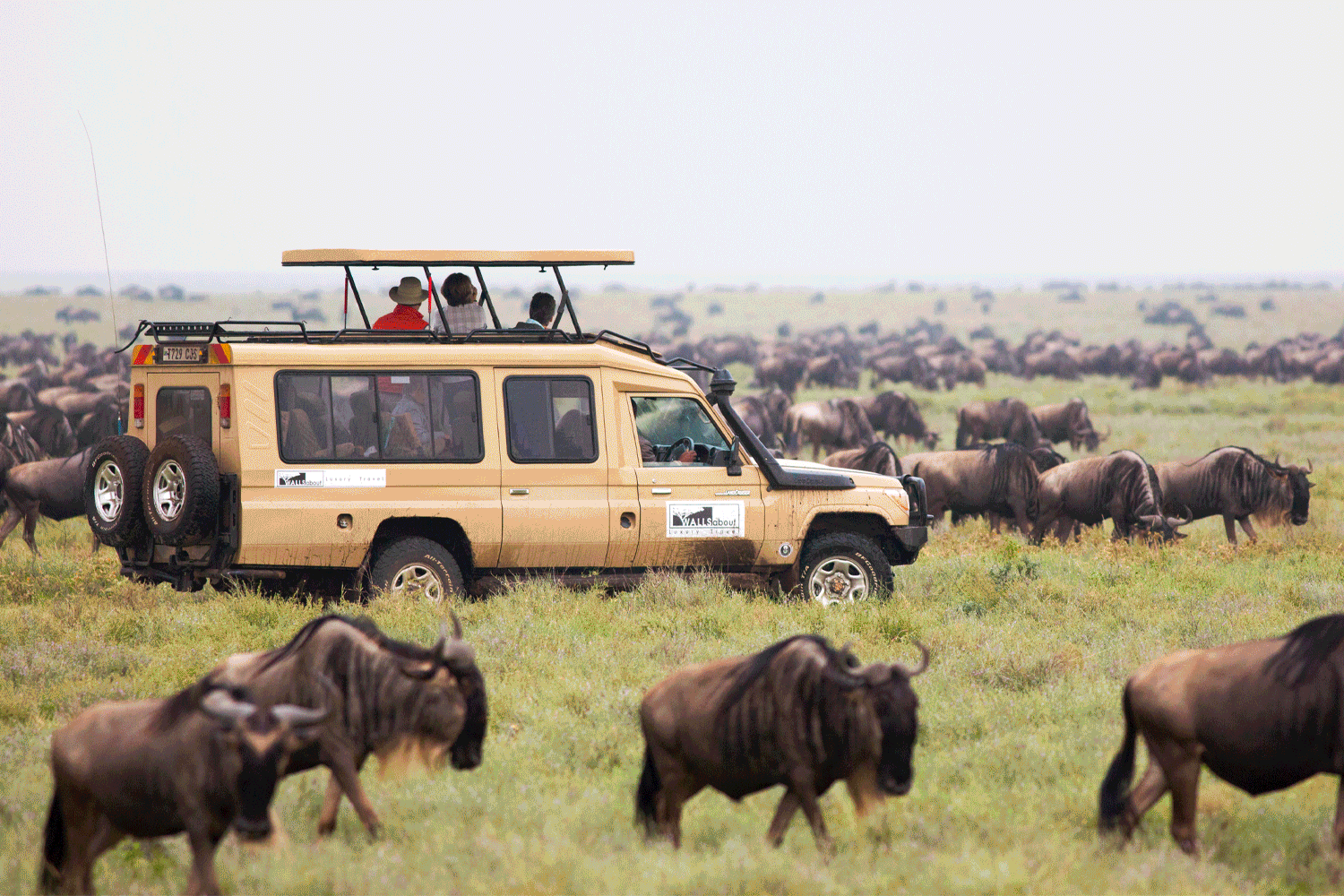 Africa February Itinerary image 19
