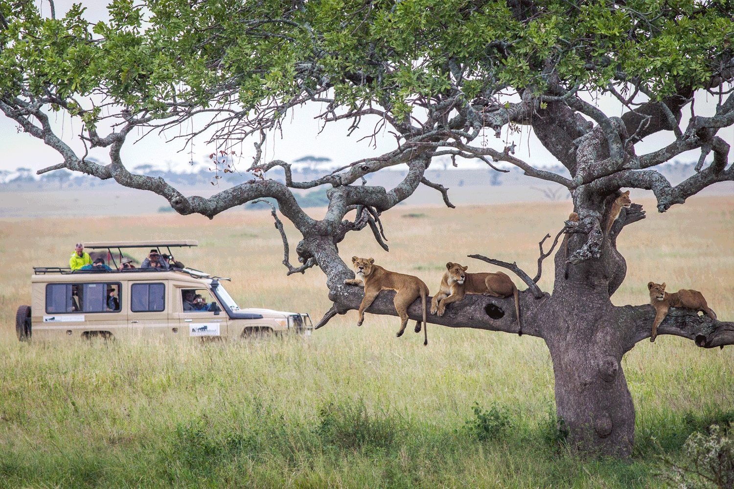 BSS Africa Feb Itinerary image 21