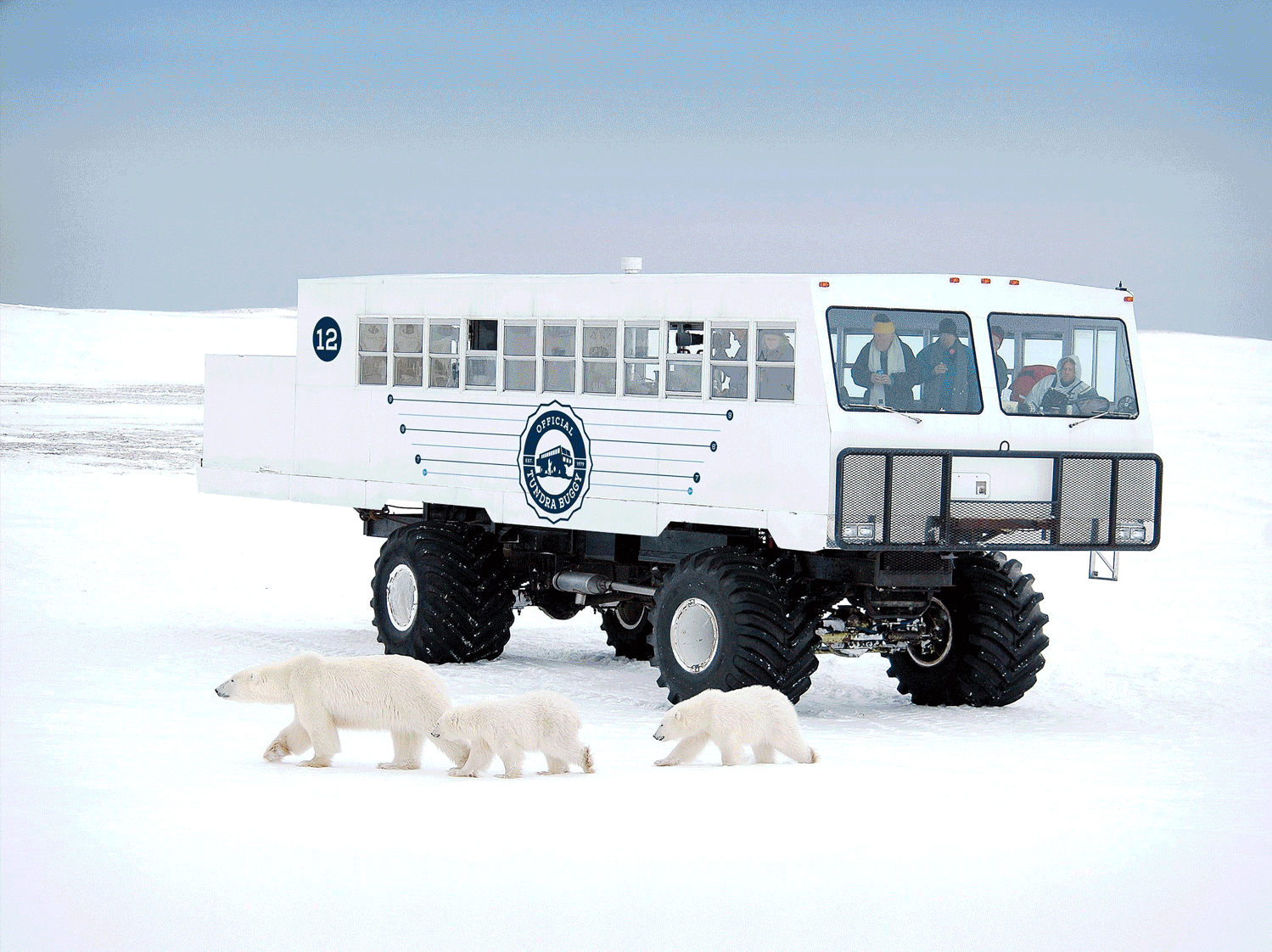 Polar Safari 2027 image 13