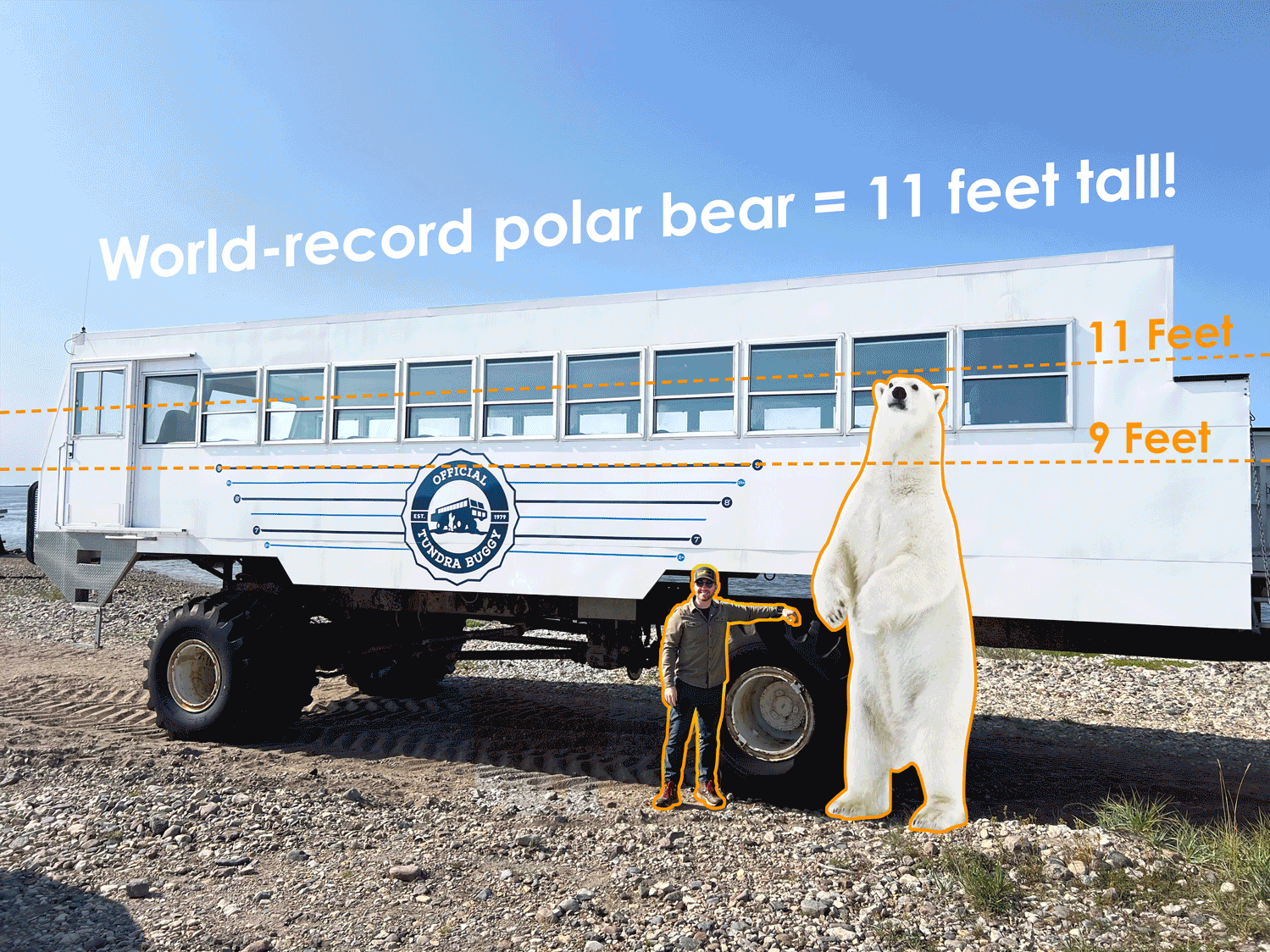 Polar Safari 2027 image 15