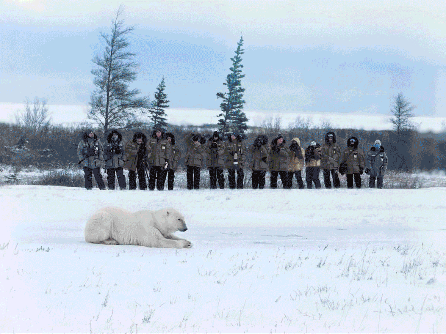 Polar Safari 2027 image 19