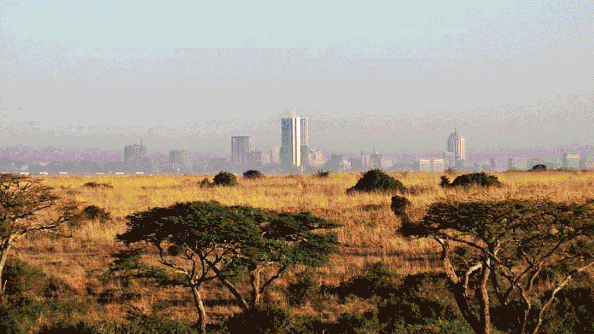 Travel Extensions- 2 Days in Nairobi image 3
