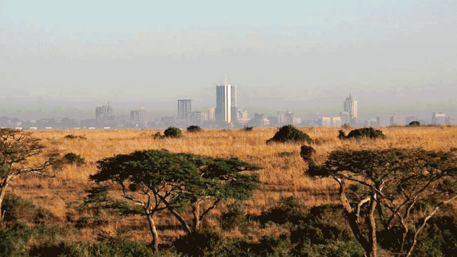 Travel Extensions- 3 Days in Nairobi image 3
